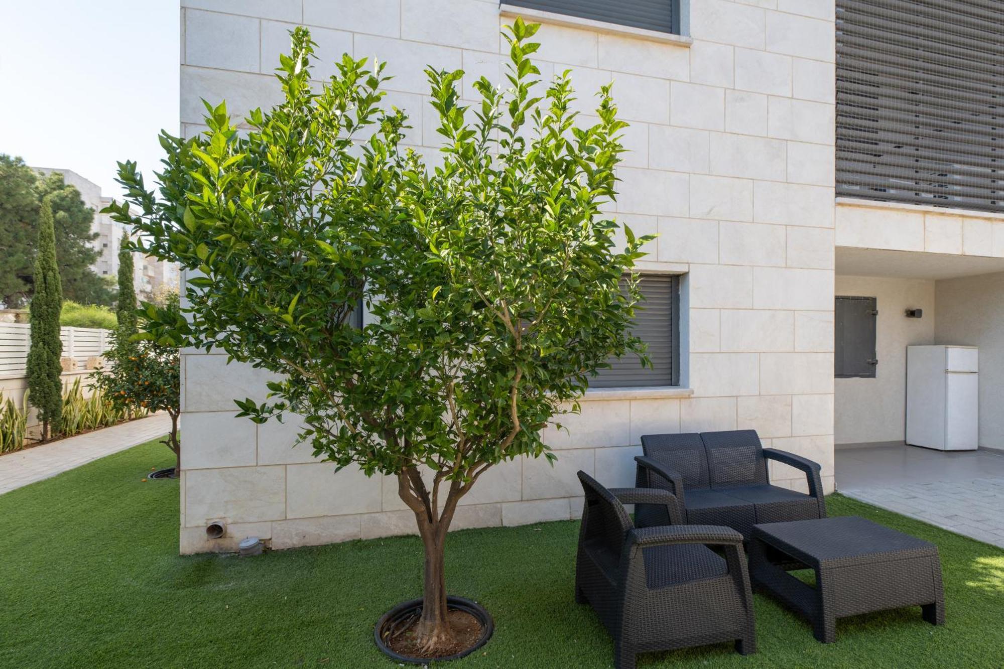 Balfour Sea View City Center Nahariya Exterior foto